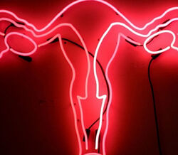 O que esperar do novo museu da vagina em Londres