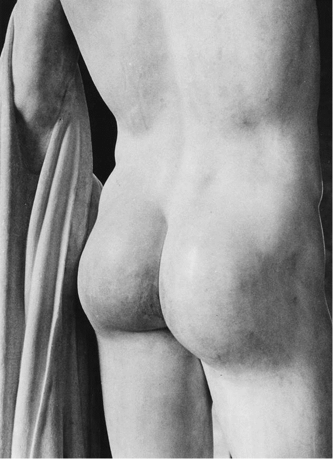 Retrato da exposição “Erotic Icons: Fotografias de Alair Gomes- coleção de Renata Phoenix”