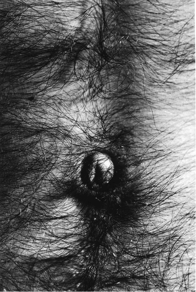 Retrato da exposição “Erotic Icons: Fotografias de Alair Gomes- coleção de Renata Phoenix”