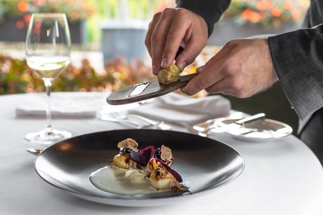 Vieiras salteadas, condimento de noz-pecã, girolles e trufa branca