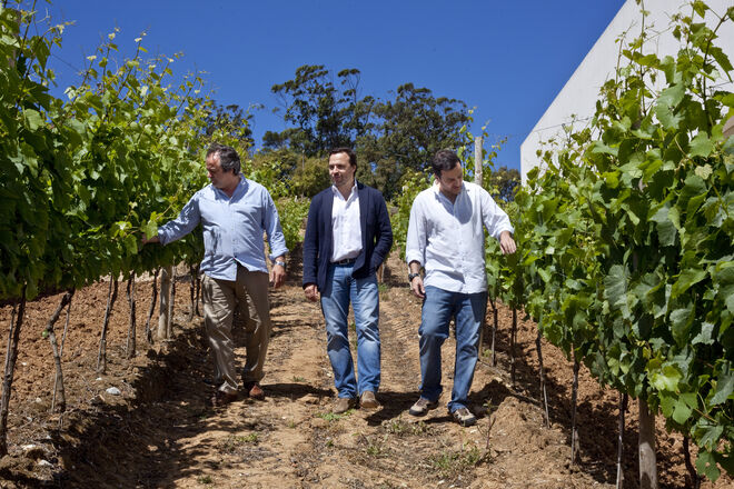 AdegaMãe, a marca que fez a sua própria história no mundo dos vinhos