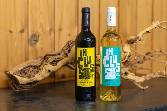 AdegaMãe, a marca que fez a sua própria história no mundo dos vinhos