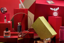 Winter Wonder Beauty