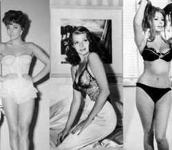 Os ícones de Hollywood em lingerie