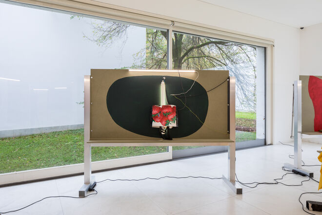 Exposição Cabrita – A Roving Gaze (Um Olhar Inquieto), no Museu Serralves. 