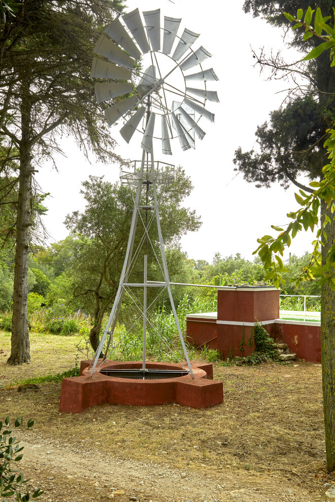 Moinho, Sarah Afonso.