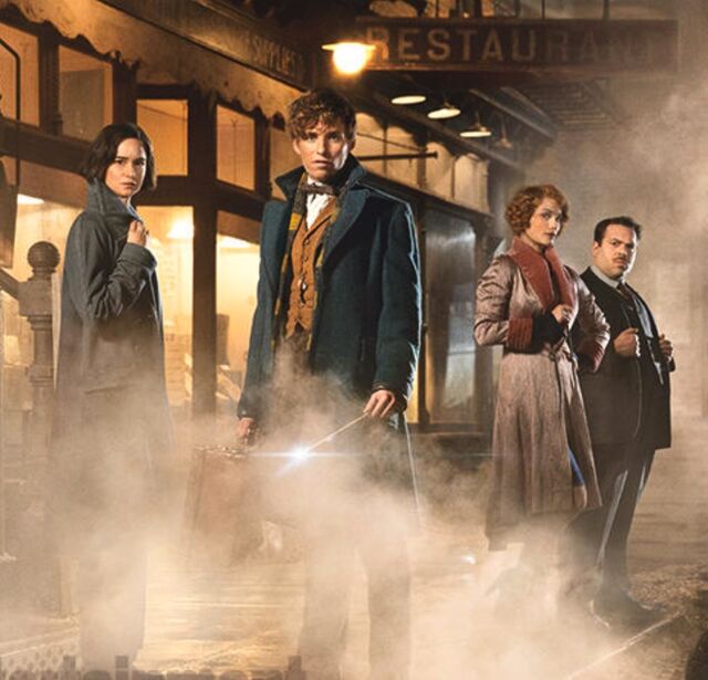Vencedor do Óscar de Melhor Guarda-roupa em 2017: Fantastic Beasts and Where to Find Them, por Coleen Atwood.
