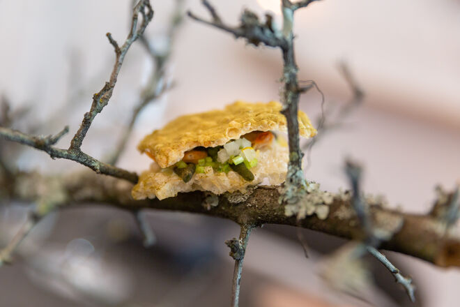 Snack de bulhão pato crocante