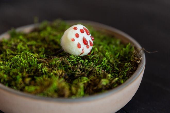 Snack de maçã, ginjinha e citrinos