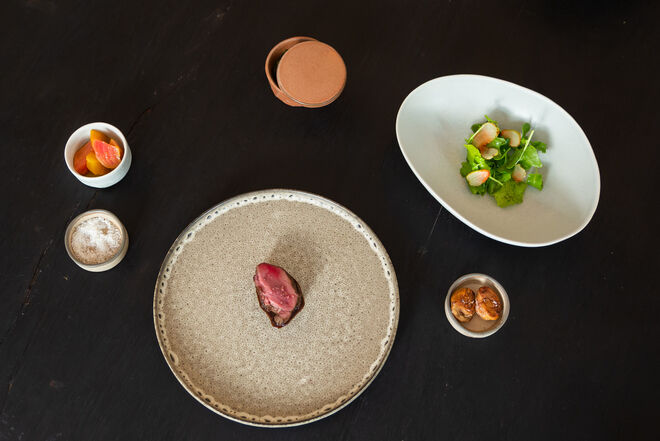 Prato de javali com castanhas, puré de espinafres, escabeche de beterraba e salada da estação