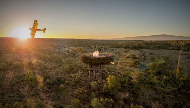 Instalado no recinto do Segera Retreat, um resort construído nas planícies de Laikipia, um dos 47 condados do Quénia, o Nay Palad Bird Nest é, porventura, um dos mais pequenos hotéis do mundo e, simultaneamente, um dos maiores "ninhos" a céu aberto.