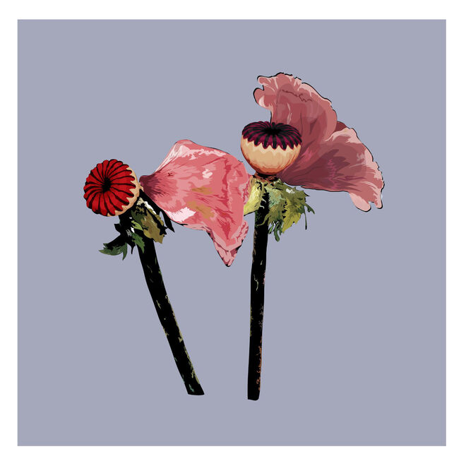 Ilustração de Sebastião Sá da Bandeira (BASTIAN), edição limitada numerada e assinada, €120, encomendas através do Instagram @bastian.illustration ou por e-mail sebastiaosadabandeira@gmail.com