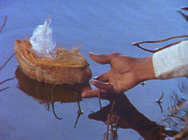 Frame do vídeo Caribs’ Leap 2002. Exposição Steve McQueen, na Tate Modern.
