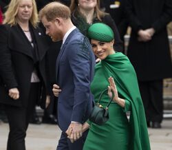 A biografia que explica porque Meghan e Harry abandonaram a realeza