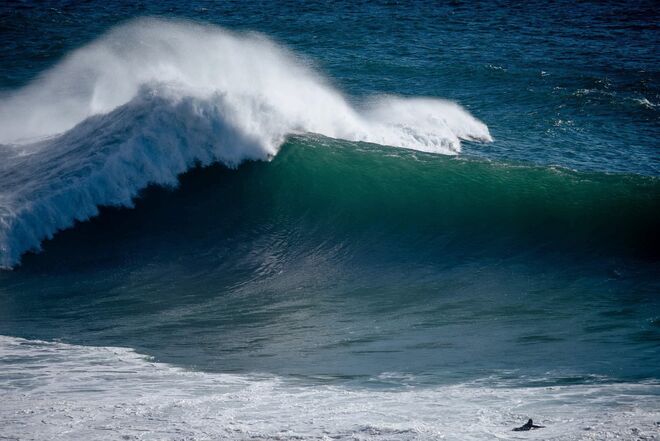 JOANA SCHENKER, ATLETA | "As mulheres têm uma energia incrivelmente corajosa, seja qual for a situação elas enfrentam com coragem, mas também delicadeza e muito tato!"