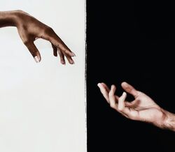 Racismo. Basta!