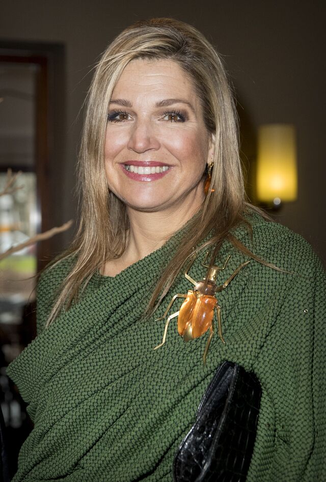 A rainha Máxima da Holanda com uma pregadeira em forma de inseto gigante.