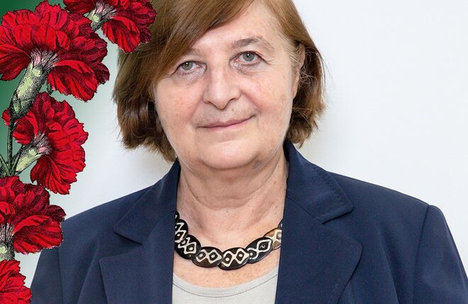 Helena Pereira, presidente da Fundação para a Ciência e a Tecnologia (FCT).