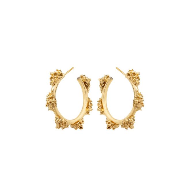 Brincos Campanulas in hoop, €85, Carolina Curado