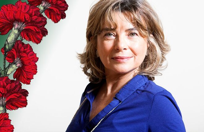 Luísa Schmidt, investigadora no Instituto de Ciências Sociais, ICS-ULisboa.