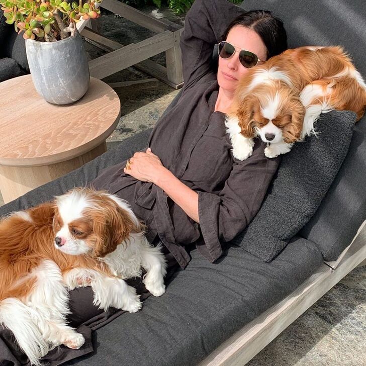 Courteney Cox