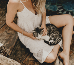 Estas são as formas como os gatos lhe mostram afeição 