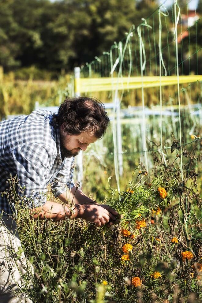 Campanha do projeto "Matéria"