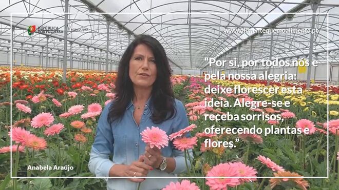 Campanha da plataforma "Alimente quem o Alimenta"