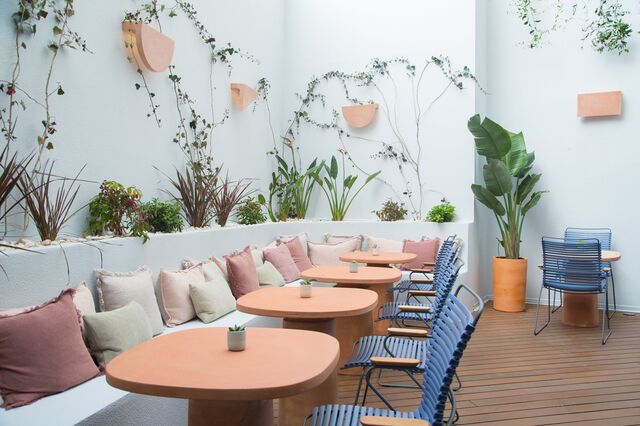 Blue Terraço | Situado no The Vintage Hotel, entre a Avenida da Liberdade e o Príncipe Real, num pátio com um jardim suspenso, o restaurante Blue Terraço é o sítio ideal para almoçar ou jantar em dias de mais calor. 