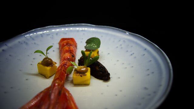 Com uma carta renovada e a cargo do chef Fábio Alves, chegam às mesas pratos surpreendentes como robalo com topinambur e açorda (€22) ou mil folhas de porco bísaro com favas e cogumelos (€23), pato real com foie gras e frutos vermelhos (€25) ou lavagante azul nacional com couve flor e daikon (€33). 