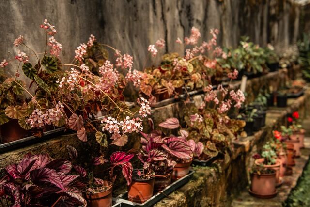 Jardins Abertos - Edição Outono 2020
