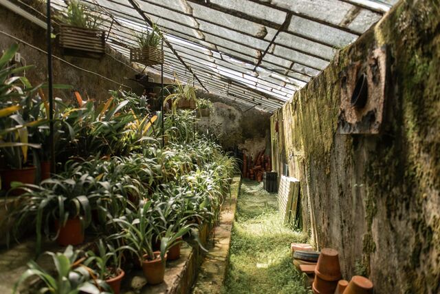 Jardins Abertos - Edição Outono 2020