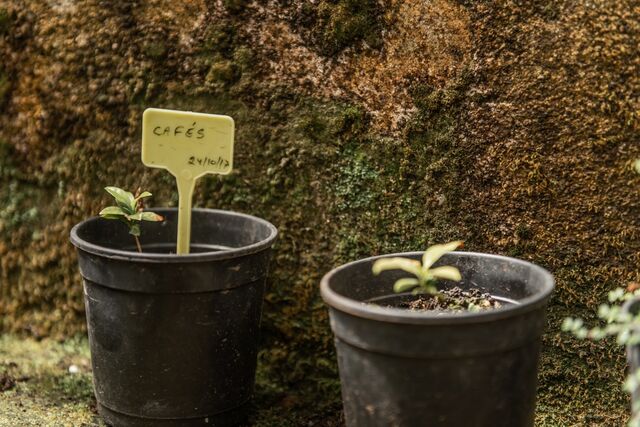 Jardins Abertos - Edição Outono 2020