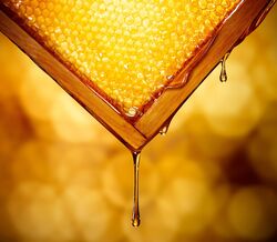 Os ingredientes naturais que estão entre os mais eficazes para o rejuvenescimento da pele