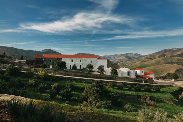 Quinta de Ventozelo: a vista.