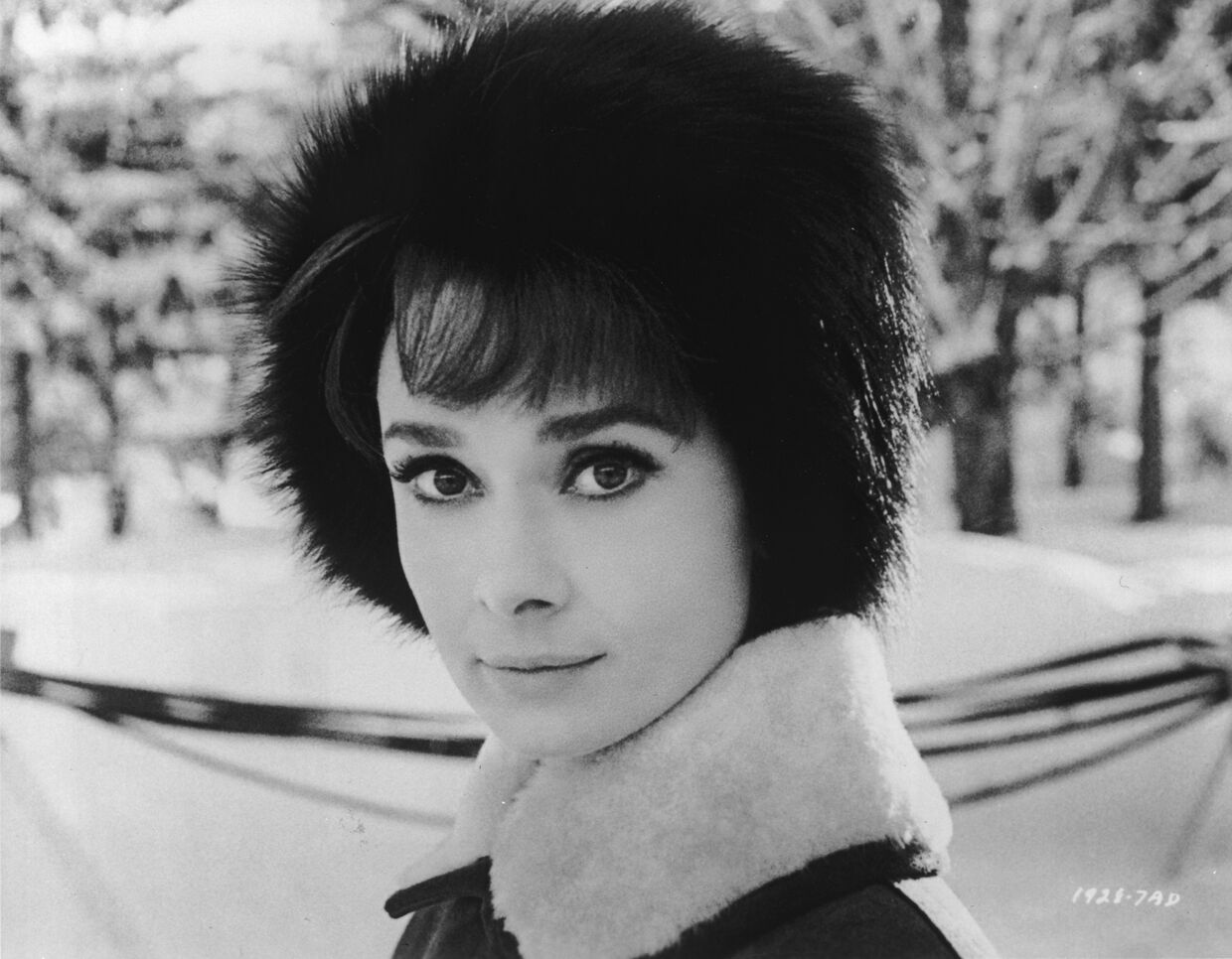 Audrey Hepburn, 1963