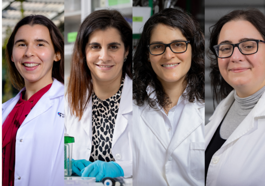 Mulheres na Ciência. Cancro, solo, visão e CO2 são os projetos de investigação premiados