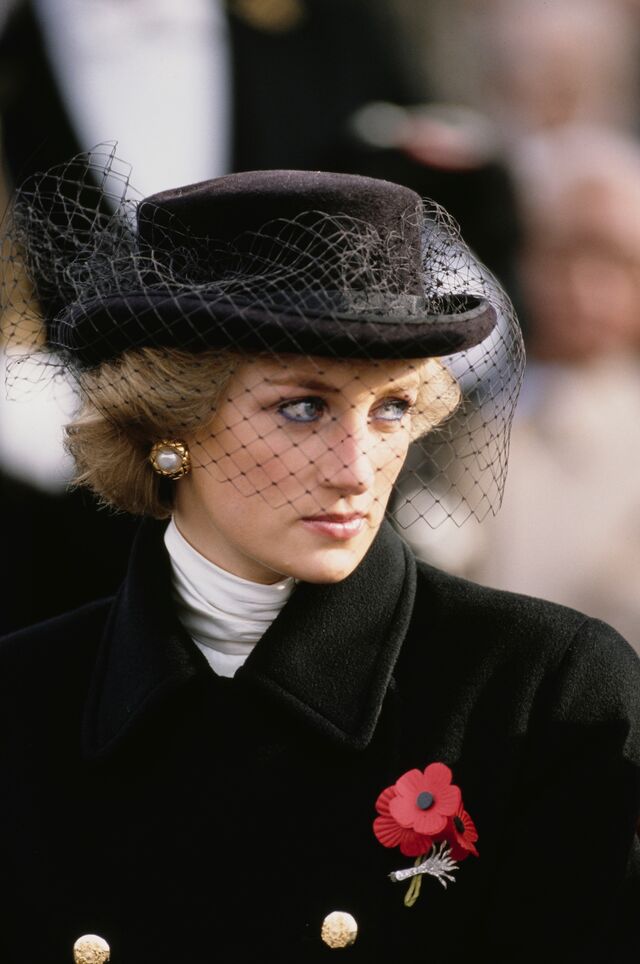 Princesa Diana, 1988
