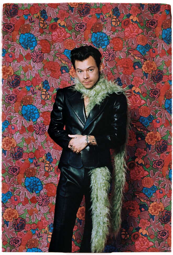 Harry Styles em Gucci