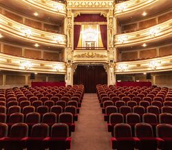 Teatro D. Maria II celebra 175 anos com dois espectáculos virtuais
