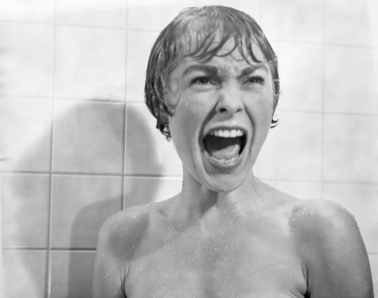 A famosa cena do chuveiro de Psycho (1960)