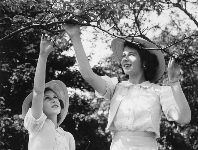 Margaret e Isabel, em novas.