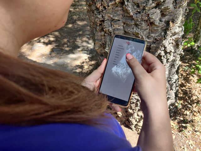 Catarina testa a app.
