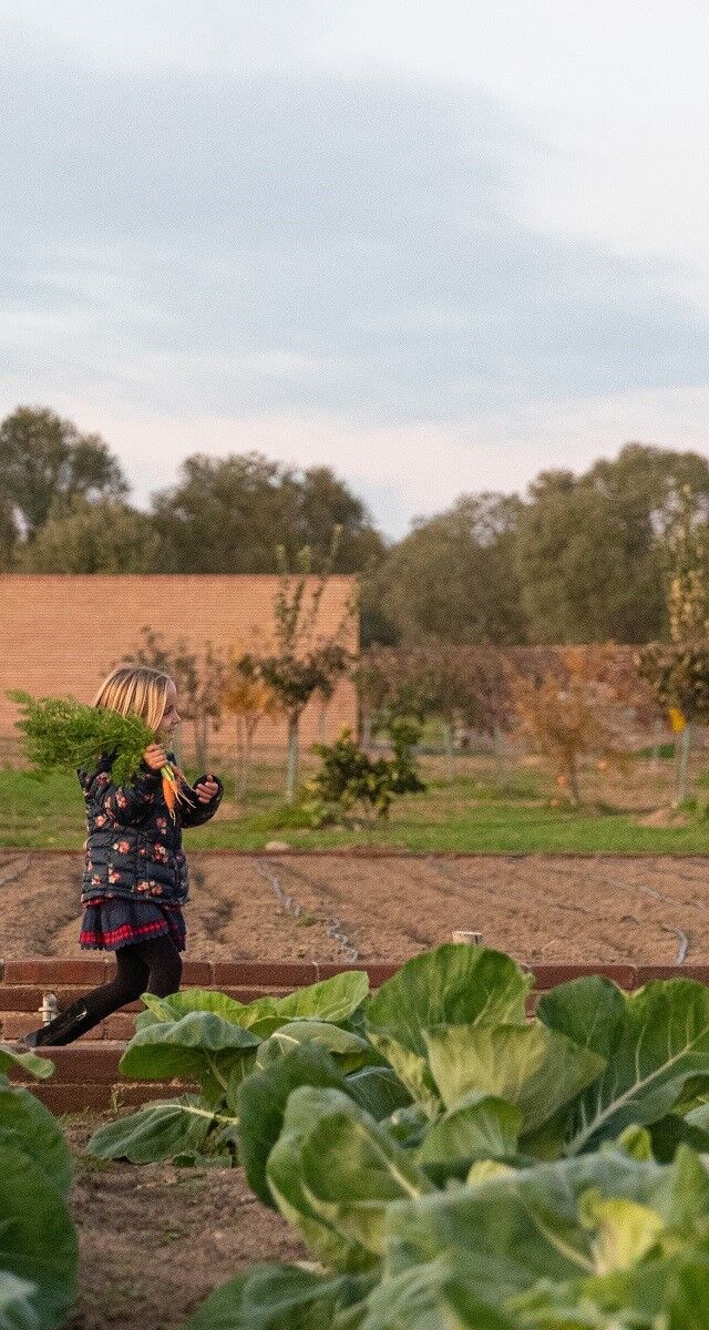 Construir casas para pássaros, plantar uma horta e andar a cavalo são algumas das atividades possíveis para as crianças (dependendo de reserva), durante a estadia no São Lourenço do Barrocal, Monsaraz