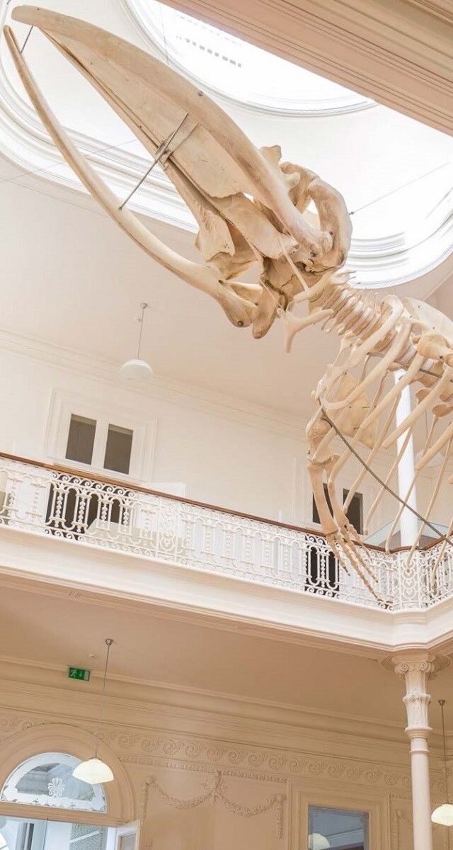 Galeria da Biodiversidade – Centro Ciência Viva, € 5, Casa Andresen no Jardim Botânico do Porto.