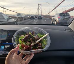 Diário de uma dieta: como emagreci nas férias
