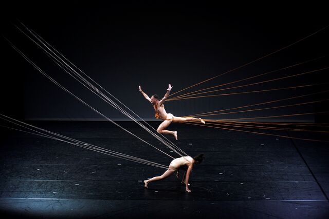 Performance Equanimidade, de Vânia Rovisco