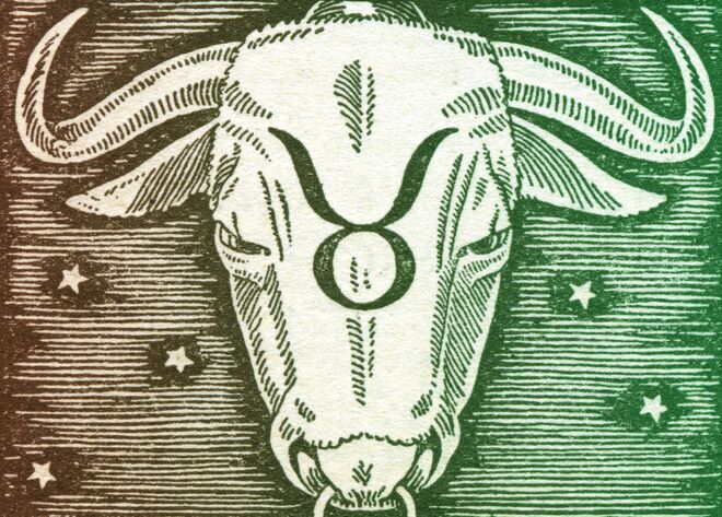 Signo touro