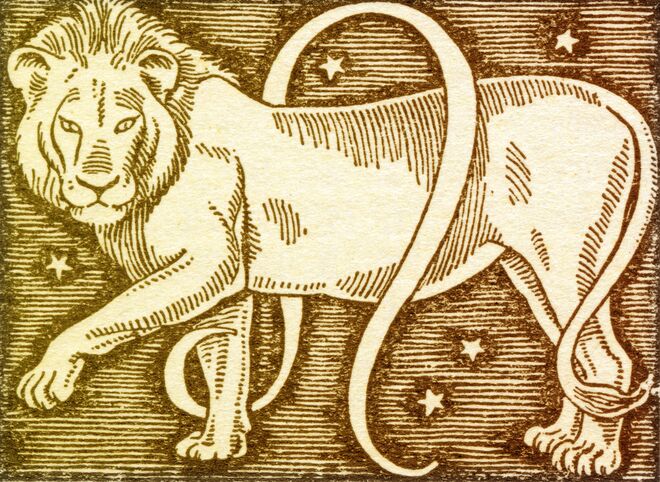 Signo leão