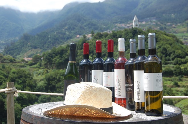 Os vinhos da Quinta do Barbusano.